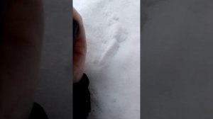 мини фильм секретная пещера из снега