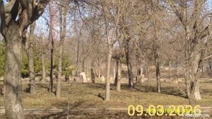 Мариуполь 🏙️ сегодня, не успели восстановить аллею Куинджи, вандалы уже напакостили 😡