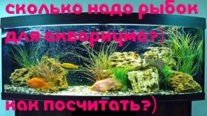 Сколько РЫБ можно содержать в Аквариуме? Переселение-миф или реальность?