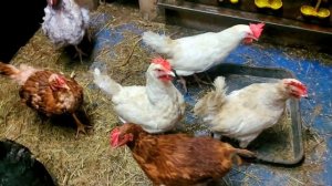 Утро,Начало Дня.