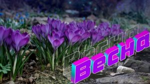 Футаж. Весна 46