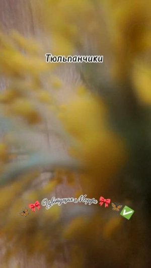 Тюльпанчики