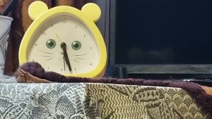 Развод по справедливости или за деньги