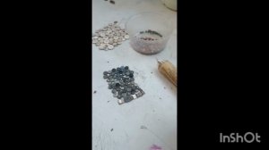 Недельный обзор 1