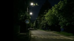 наблюдатель object of vision