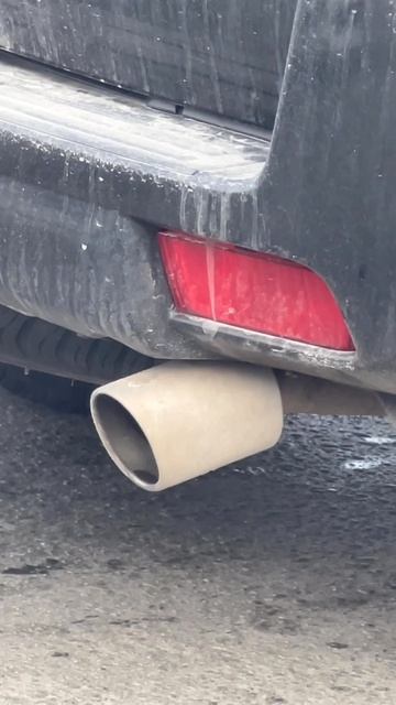 Почему колбасит Прадик?