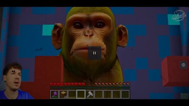 леня песня пчел