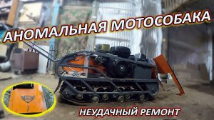Аномальная мотособака, неудачный ремонт.