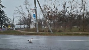 На тему доброго утра и хорошего настроения