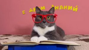 Kotiynet 1 Сентября