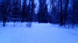 058 2016.12.27_10.31.04 По свежему снегу в Измайлово с Маней гуляем. (9-59 мин)