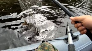 Рыбалка 27.05.23