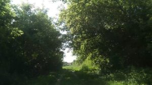 Село Бык, Романовский район. Улица Заречная.