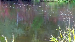 Рыбалка на поплавок. Перезалив.