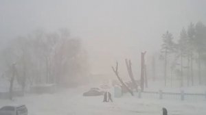 Снежная гроза (январь 2025 года)