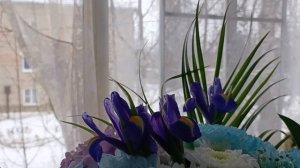 8-9.03.26. С дачи. Букет от сына. Зима дурит.