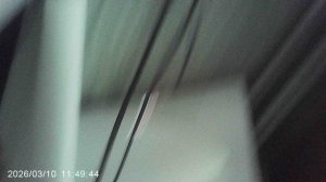 Готовлю горшочек побольше, для пересадки кабачкового растения "Чёрный Красавец"