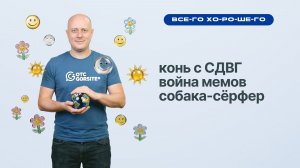 Война мемов и собака-сёрфер — добрые новости на ОТС