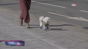 В Москву пришло долгожданное потепление
