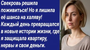 Истории со Смыслом/Свекровь решила поживиться! Но я лишила её шанса на халяву!.../Аудиорассказ