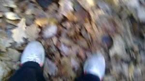 104 2018.11.13_09.52.38