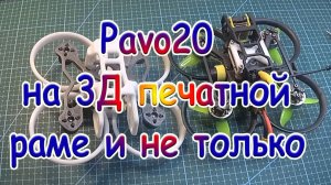 Pavo20 на 3Д печатной раме