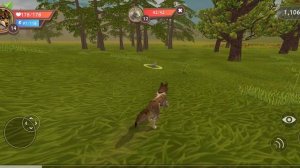 качаемся до 15 левела в Wildcraft