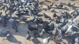 10 марта творите добро...