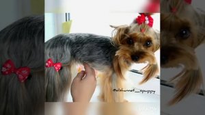 F899C773-5837-46CC-97D7-C51EA94ABCAD