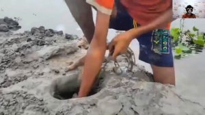 Ловля рыбы на курицу: интересный метод