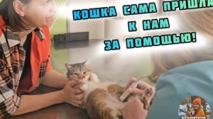 Больная Маруська сама пришла к Хранителям Планеты за помощью.