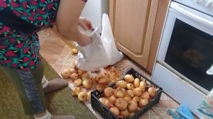 11.03.2026. Новости из деревни. Сегодня