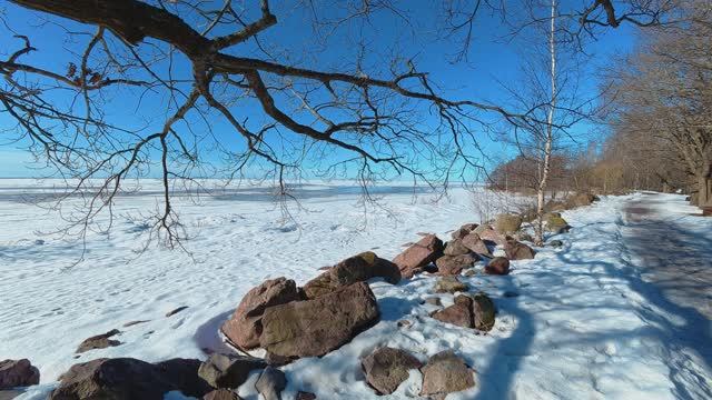 Сестрорецк. Парк Дубки. Bereg.Курортный (март 2026)