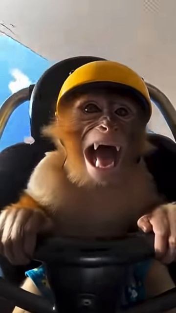 Что скрывает шлем мотоциклиста 