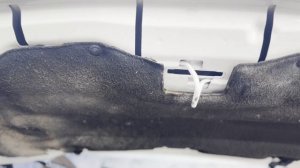 copy_BD18787D-9388-4064-97D5-46776BCC2C77