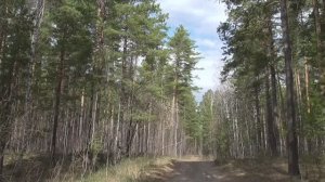 Страницы из 2019г 5ч