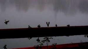 про осень...