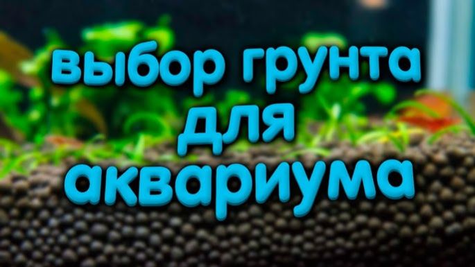 Какой выбрать грунт для аквариума с растениями