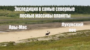 Экспедиция в самые северные лесные массивы планеты