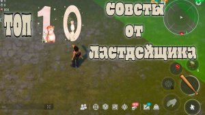 Ласт дей топ 10 советов для новичков