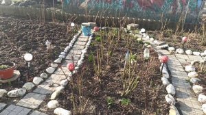 Интересный цветник около дома!