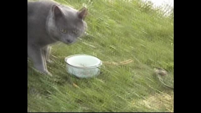 Папа Юра на озере Ольшанские карьеры.