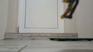 Нападение монстров 7 серия пранк над Спрингтрапом из ФНАФ