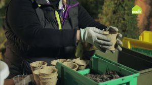 Как вырастить АРБУЗЫ в средней полосе России. Советы по выращиванию арбузов на даче. Легко и просто!