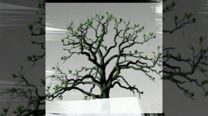 Видео шедеары ИИ