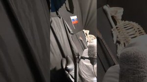 17 Чат Стрим Лайфстайл говорит Бромедик я Студент Медик Учусь В Медицинском УНиверситете 1 Курс