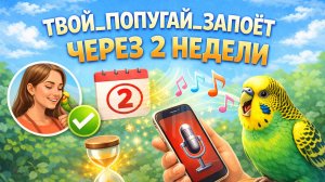 ДЕЛАЙ ЭТИ УПРАЖНЕНИЯ С ПОПУГАЕМ И ОН ЗАПОЕТ ЧЕРЕЗ 2 НЕДЕЛИ