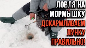 Ловля на мормышку. Докармливаем лунку правильно!