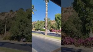 Поехали на джип - сафари