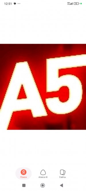 а5